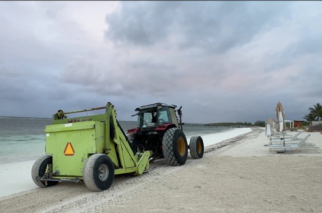 morning beach clean up
