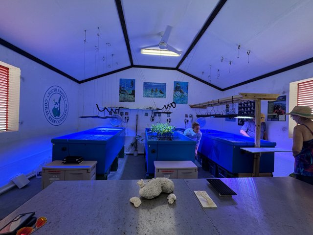 Coral Lab