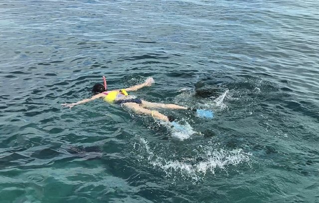 Turks and Caicos Snorkeling Cruise