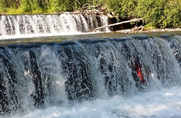 Nine Days Alaska Wildness Adventure